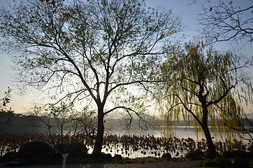 Image showing Sunset at the West Lake in Hangzhou,China