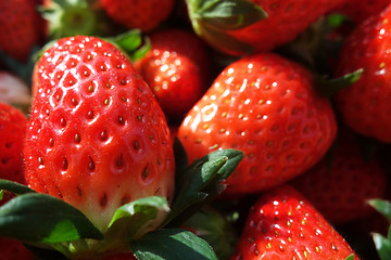 Image showing Fresh and red strawberries 