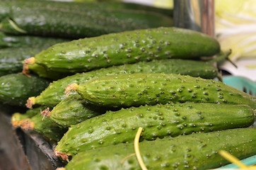 Image showing Green fresh cucumber in box on sale