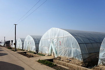 Image showing Large greenhouse for plants in the autumn