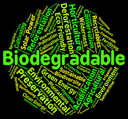 Image showing Biodegradable Word Means Degrade Biodegradation And Decompose