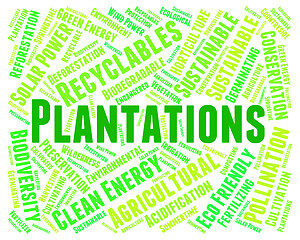 Image showing Plantations Word Means Agriculture Ranch And Text