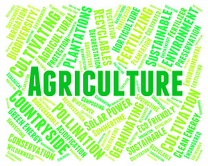 Image showing Agriculture Word Indicates Farmland Cultivate And Farms