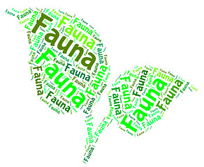 Image showing Fauna Word Represents Animal Kingdom And Area