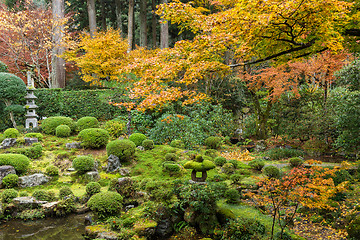 Image showing Beautiful autumn landscape