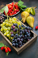 Image showing autumn fruits