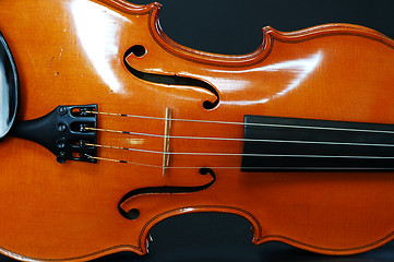 Image showing Violin