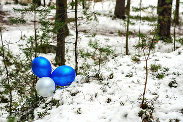 Image showing Balls in the forest.