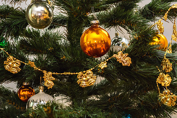 Image showing Christmas decorations on the tree.