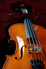 Image showing Violin