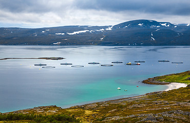 Image showing Farm salmon fishing