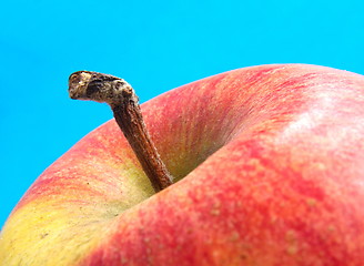 Image showing apple