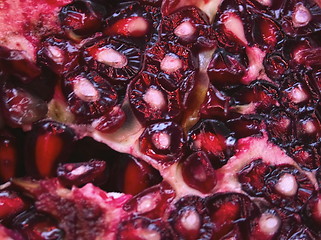 Image showing pomegranate seeds