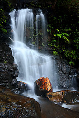 Image showing Edith Falls Blue Mountains