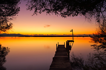 Image showing Old timber jetty at dawn framed by trees