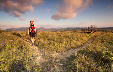 Image showing Female bushwalker hiking in the Blue Mountains