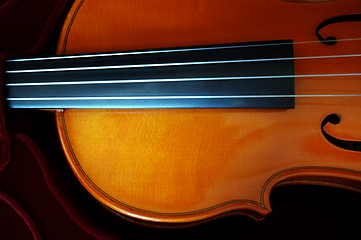 Image showing Violin