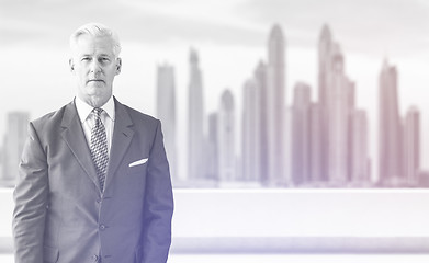 Image showing Senior businessman in front of the big city