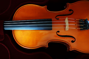 Image showing Violin