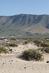 Image showing Landscape Lanzarote