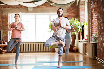 Image showing group of people doing yoga tree pose at studio