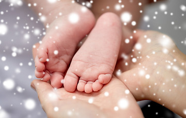 Image showing close up of newborn baby feet in mother hands