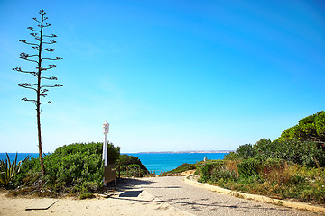 Image showing Landscape of Algarve