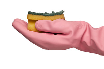 Image showing Hand in rubber glove holding a grungy dish sponge