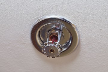 Image showing Fire Safety Sprinkler