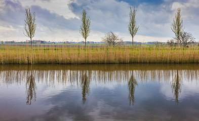 Image showing Rural Dutch Landscape