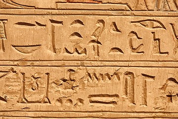 Image showing Ancient Hieroglyphic Script