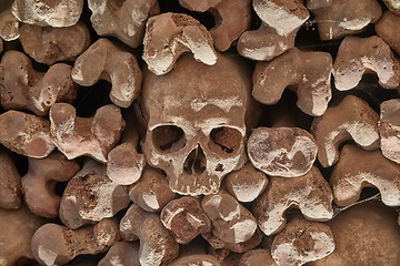 Image showing Skulls and bones in a wall