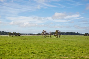Image showing Fields of green pasture