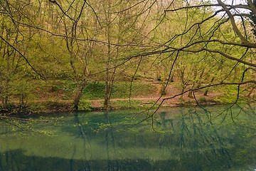 Image showing Small lake with trees