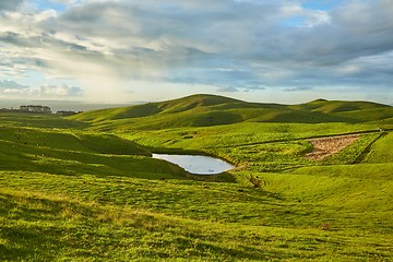 Image showing Green landscape in New Zealand