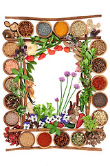 Image showing Spice and Herb Abstract Border