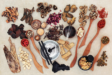 Image showing Chinese Herbal Medicine