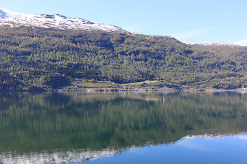 Image showing A wonderful beautiful spring day in Loen in Sogn with green tree