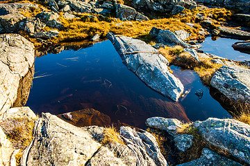 Image showing Small ponds on the rocks against the sea in Sund west in Norway.