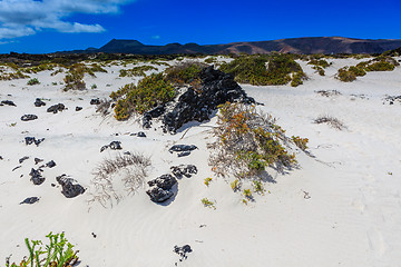 Image showing Lanzarote has many and beautiful beaches.