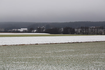 Image showing Agricultural Fields on Foggy Winters Day