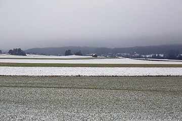 Image showing Agricultural Fields in Winter