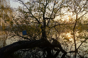 Image showing Sunset at West Lake (Xihu) in Hangzhou China