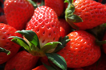 Image showing Fresh and red strawberries