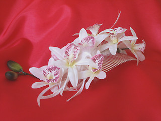 Image showing Brides Comb