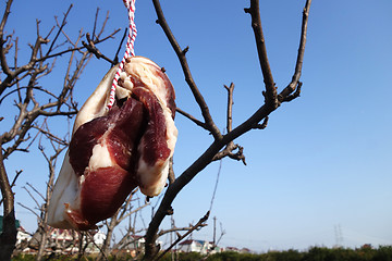 Image showing The suspended pieces of the meat drying outside 