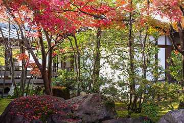 Image showing Kokoen Garden in Japan