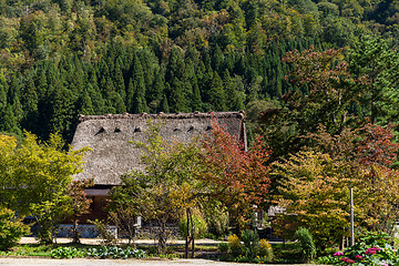 Image showing Japanese old town, Shirakawago