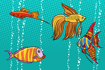 Image showing Set collection of aquarium fish