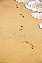 Image showing Beach of Algarve, Portugal